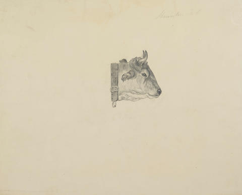 Original Digital object not accessible